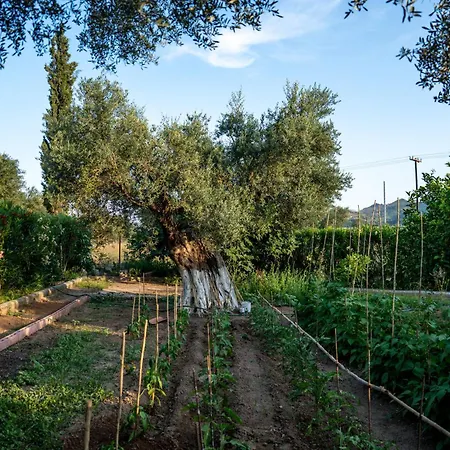 Georgias Paradise And Garden Appartamento Kamares (Achaia)