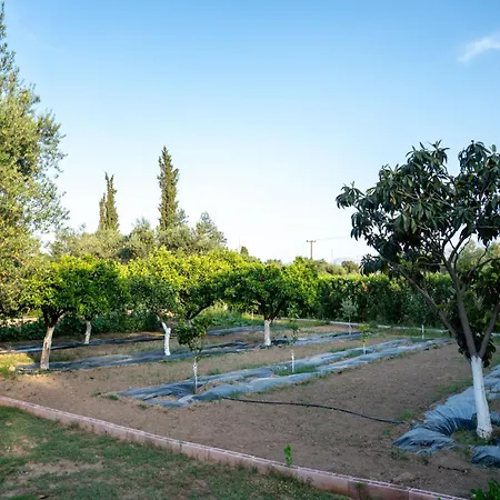 Georgias Paradise And Garden * Kamares (Achaia)