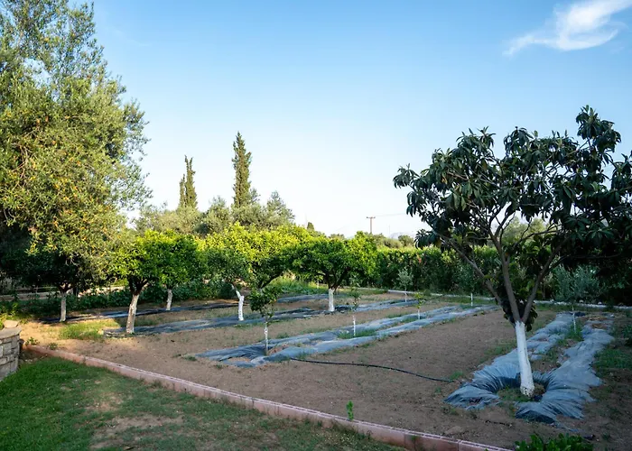 Georgias Paradise And Garden * Kamares (Achaia)